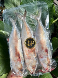 ปลาทูมัน สดใหม่ เนื้อหวานมันอร่อย ไม่เค็ม ส่งตรงจากทะเลปราณบุรี แพคล่ะ 1กก. 199บาท