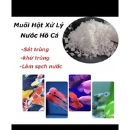 Pure Salt-Grain Salt Treated With Aquarium Water, Essential For Aquarium Fish (500g)