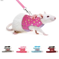 VEXUS Leash Leads Safety Small Pet Ferret Squirrel Pet Harness