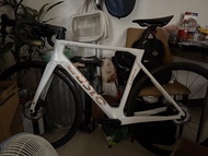 GUSTO cobra evo碳纖維公路車