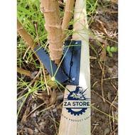 Thick cassava cassava plucking tool