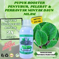 Obat Perbanyak Minyak Daun Nilam Daun Nilam Obat Penyubur Nilam Pupuk Untuk Tanaman Nilam