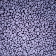 BAJA NPK PENGGALAK BUAH DAN BUNGA (15-3-20-2+10S+TE with DMPP)