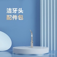 Universal Teeth Cleaning Head Accessories Stainless Steel Teeth Scaler Accessories To Remove Calculu