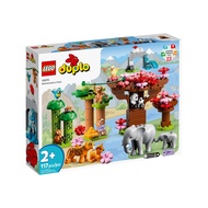 LEGO 樂高 亞洲野生動物 #10974  1盒