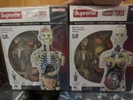 4D Master Supreme 1/6 Scale Human Anatomy Model Male Female Transparent Pregnancy Torso 人體解剖模型