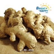 Bentong Ginger High Hill Bentong Ginger (银吉