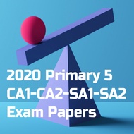 2020 Primary 5 (P5) CA1-CA2-SA1-SA2 English, Math, Science, Chinese, Higher Chinese Exam / Test Papers