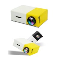 Portable home video player