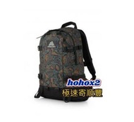 🈶現貨 GREGORY ALL DAY V2.1 24L背包 MILITARY LEOPARD