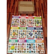 Grolier Mini Encyclopedia