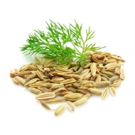 Jintan Manis/Fennel Seeds