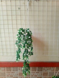 Bunga Priti +pot gantung tali /bunga juntai plastik /Bunga Gantung