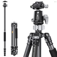 Toho  K&amp;F CONCEPT Carbon Fiber Camera Tripod Stand Monopod with Flexible Ballhead 172cm/67.7in Max. Height 12kg Load Capacity Low Angle Photography Travel Tripod with Carrying Bag