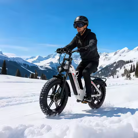 Nathaniel SYR08 E-Bike, Dual Motor 2000W, 20x4.0, 48V20AH Daily Commuting by Bicycle