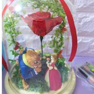 美女與野獸紅玫瑰保鮮花 有燈