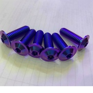 Titanium GR5 8li25 Thin Umbrella Screw (M8 * 25 Disc Bolt Umbrella Head) For Yamaha, Suzuki Models S