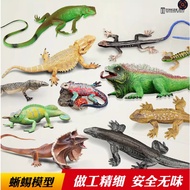 T Children's German Simulation Lizard Toy Reptile Model Chameleon Komodo Lizard Iguana Gecko Childre
