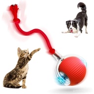 Bola Anjing Berguling Interaktif, 2026 Bola Anjing Berguling Sendiri Baharu Mainan Kucing Interaktif