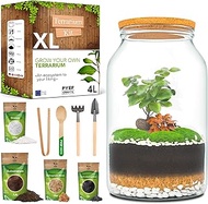 DIY Terrarium Kit XL PYEF CRAFTS - 4L Glass Terrarium Starter Set for Self Sustaining Ecosystem - La