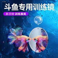 Cermin latihan ikan Betta Thai, cermin luar tangki ikan terapung, ikan hiasan, arwana, hiasan tangki