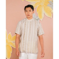 Young Official Cempaka koko - Dove