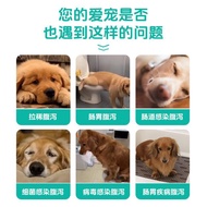 回盛宠物碱式碳酸铋片猫咪狗狗专用止泻拉肚子拉稀软便腹泻Huisheng pet bismuth subcarbonate tablets for cats and dogsudrn382.my2026