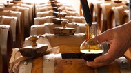 Balsamic vinegar cellar tour in Modena