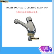 Auto Closing Brass Basin Tap/Auto Closing Brass Wall Tap/Auto Stop Bathroom Basin and Wall Tap/Savin