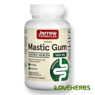 Vegan Mastic Gum, 120 Veggie Capsules (500 mg per Capsule) | Shelf Life: 2–4 Years