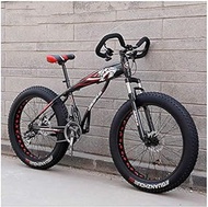 Fashionable Simplicity Mountain Bikes MTB 26inch 21-Speed Bike Dual Disc Brake Hardtail Mtb Bikes Mens Women Adult All Terrain Bicycle Adjustable Seat &amp; Handlebar (Color : Black Red)