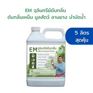 ส่งฟรี EM ดับกลิ่นขี้หมู ขี้ไก่ ขี้ยาง ห้องน้ำ บำบัดน้ำ EM จุลินทรีย์กำจัดกลิ่น 5ลิตร ราคาสุดคุ้ม