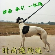 Taoyuan Ready Stock Fine Traction Rope Ebita Dog Collar One-Piece Hound Whigli Lingti Walking One Ti