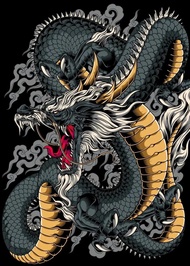 ภาพพิมพ์ผ้าใบหน้ากากปีศาจอะนิเมะญี่ปุ่น - Hannya Kitsune ภาพศิลปะติดผนังสำหรับตกแต่งห้องนั่งเล่น 100