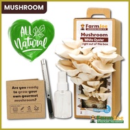 Mushroom Mushroom Grow Kit Edible Mushroom Oyster Mushroom FarmJoe