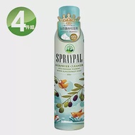 噴寶Spraypal 橄欖皂液泡沫式氣炸鍋專用洗滌噴霧(250mlx4罐)