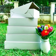 talam box , kuih lapis box