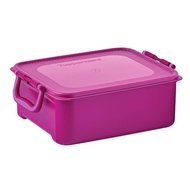 Kimchi Keeper Tupperware