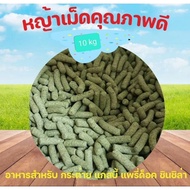 Timothy Compressed Grass For Herbivores 10 Kg. Green Onions Use Freshly Cut From First (PP080=10kg)