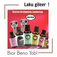 STOK BARU #Minyak Burung Unta (Ostrich Oil) Big Bird's Lamborian