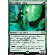 MTG Single Incubation Druid
