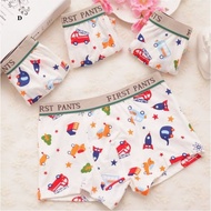 Boys Cute Cartoon Boxer Briefs
