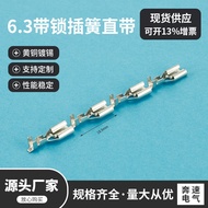 6.3 with Lock Straight with Insert Spring DJ622-J6.3 B 250 Insert Spring 6.3 Lock Terminal Switch Te