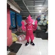 Ball Mascot Costume