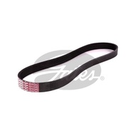 Front Engine Belt 6PK HONDA ACCORD Gen5 G5 1994-1997 F22B 2.2 ODYSSEY RA6 F23A 2.3 Short Line