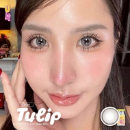 Ulesn Tulip เทากลางนัวขอบสวยพส.โต่วอิน Ulens weter65% รุ่นใหม่สวยดูดี