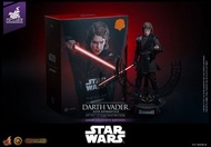 [日本版]全新Hottoys DX47AE 植髮 Anakin Skywalker 安納金 hot toys DX47 入魔 Star Wars