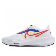 Nike Zoom Pegasus 39