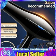 【SG Plug】7PCS Hair Dryer/Professional Ionic Blow Dryer with Diffuser for Curly Hair/Powerful Fast Dr