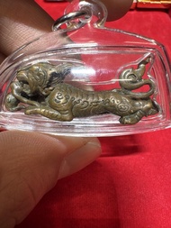 古巴磐石 三期食人虎